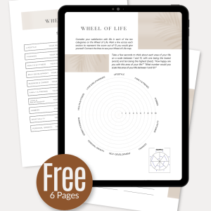 Wheel of Life worksheet printable life balance assessment for personal growth and self-reflection